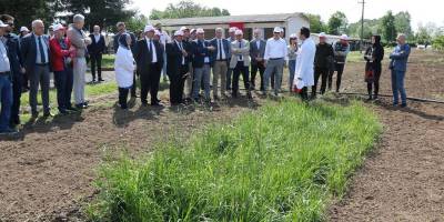 “Samsun, 3-5 yıl içerisinde yem bitkilerinde ülke genelinde söz sahibi olacak”