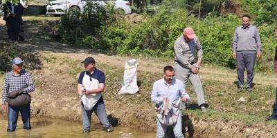Kaymakam çizmeleri giydi, tarlada çeltik ekti