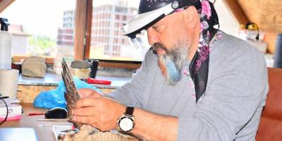 Telef olan hayvanlar sanat eserine dönüşüyor