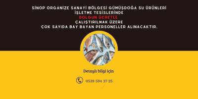 Bay Bayan Eleman Aranıyor