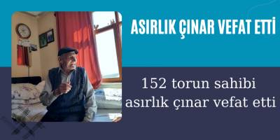 152 torun sahibi asırlık çınar vefat etti