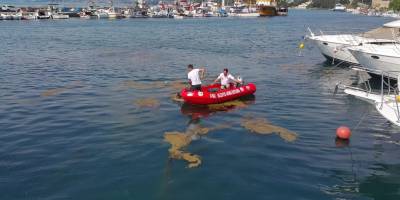 Sinop’ta deniz yüzeyinde oluşan kirlilik temizleniyor