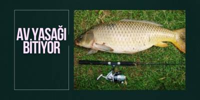 İç sularda av yasağı bitiyor