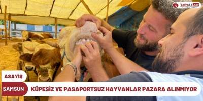 Küpesiz ve pasaportsuz hayvanlar pazara alınmıyor