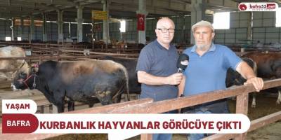 BAFRA'DA KURBANLIK HAYVANLAR GÖRÜCÜYE ÇIKTI
