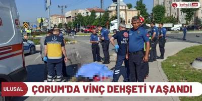 Çorum'da Vinç Dehşeti yaşandı