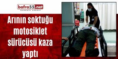 Arının soktuğu motosiklet sürücüsü kaza yaptı
