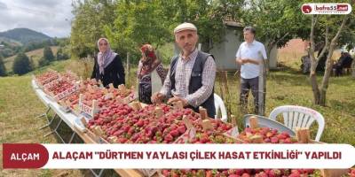 Alaçam "Dürtmen Yaylası Çilek Hasat Etkinliği" Yapıldı