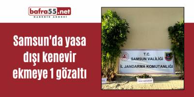 Samsun'da yasa dışı kenevir ekmeye 1 gözaltı