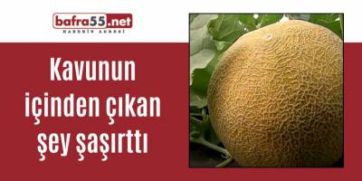 Kavunun içinden çıkan şey şaşırttı