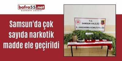 Samsun'da çok sayıda narkotik madde ele geçirildi