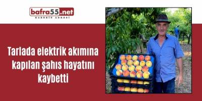 Tarlada elektrik akımına kapılan şahıs hayatını kaybetti