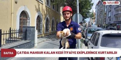 Çatıda Mahsur Kalan Kedi İtfaiye Ekiplerince Kurtarıldı