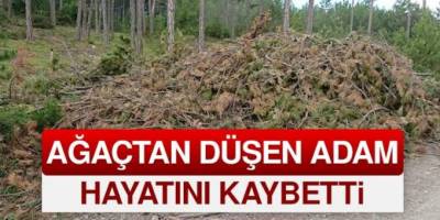 Bafra'da ağactan düşen yaşlı adam hayatını kaybetti