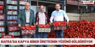 Bafra’da Kapya Biber Üreticinin Yüzünü Güldürüyor