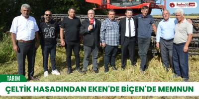 Çeltik Hasadından Eken'de Biçen'de memnun