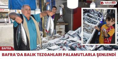 Bafra ilçesinde palamut bolluğu tezgahlara da yansıdı.