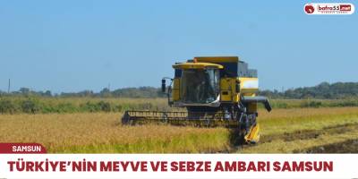 Türkiye’nin meyve ve sebze ambarı Samsun