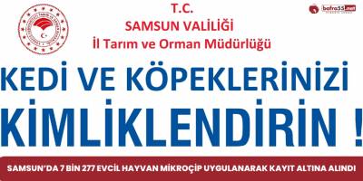 Samsun’da 7 bin 277 evcil hayvan mikroçip uygulanarak kayıt altına alındı