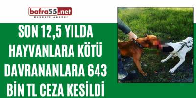 Son 12,5 yılda hayvanlara kötü davrananlara 643 bin TL ceza kesildi