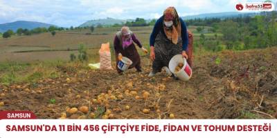 Samsun'da 11 bin 456 çiftçiye fide, fidan ve tohum desteği