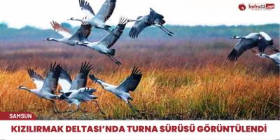 Turnalar kuş cennetine akın etti