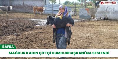 Mağdur kadın çiftçi Cumhurbaşkanı'na seslendi