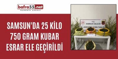 Samsun'da 25 kilo 750 gram kubar esrar ele geçirildi