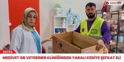 Medivet gb Veteriner Kliniğinden Yaralı Kediye Şefkat Eli