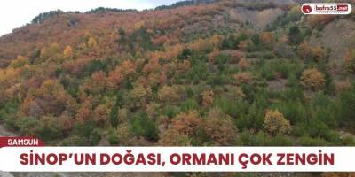 Sinop’un doğası, ormanı çok zengin