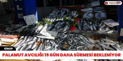 Palamut avcılığı 15 gün daha sürmesi bekleniyor