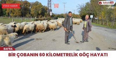 Bir Çobanın 60 kilometrelik Göç Hayatı