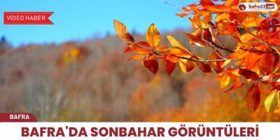 Bafra’da sonbahar görüntüleri