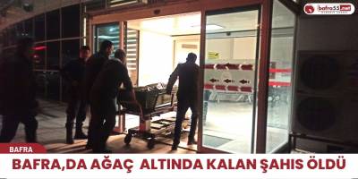 Bafra,da ağaç altında kalan şahıs öldü