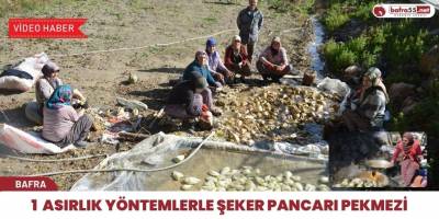 Bafralı Kadınlar 1 asırlık yöntemlerle şeker pancarı pekmezi yapıyorlar