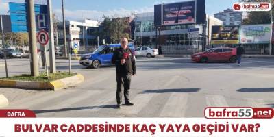 Bulvar caddesinde kaç tane yaya geçidi var?