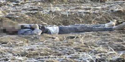 KİMLİĞİ BELİRSİZ CESET BULUNDU