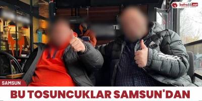 Samsun'da bir tosuncuk vakası 300 milyonluk vurgun