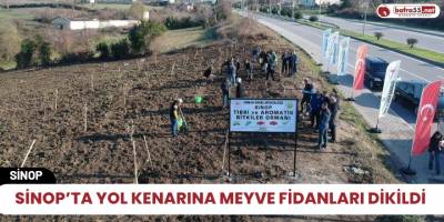 Sinop’ta yol kenarına meyve fidanları dikildi