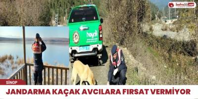 Jandarma kaçak avcılara fırsat vermiyor