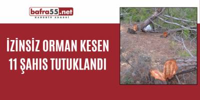 İzinsiz orman kesen 11 şahıs tutuklandı