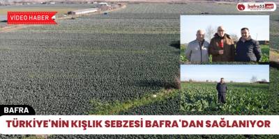 Türkiye'nin kışlık sebzesi Bafra'dan Sağlanıyor