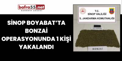 Sinop Boyabat’ta bonzai operasyonunda 1 kişi yakalandı