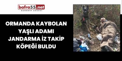 Ormanda Kaybolan yaşlı adamı jandarma iz takip köpeği buldu