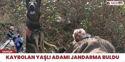 Kaybolan yaşlı adamı Jandarma buldu