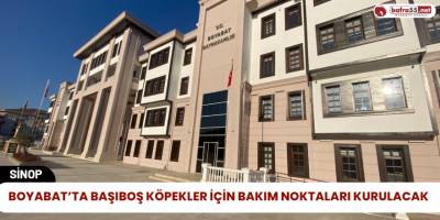 Boyabat’ta Başıboş Köpekler İçin Bakım Noktaları Kurulacak