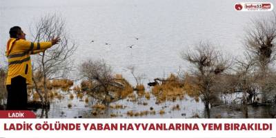 Ladik Gölünde Yaban Hayvanlarına Yem Bırakıldı