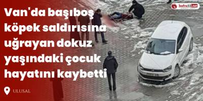 Van'da Başıboş Köpek Saldırısına Uğrayan Dokuz Yaşındaki Çocuk Hayatını Kaybetti