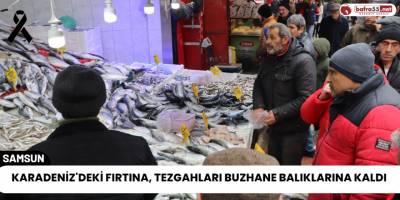 Karadeniz'deki Fırtına, Tezgahları Buzhane Balıklarına Kaldı