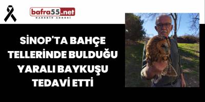 Sinop'ta Bahçe Tellerinde Bulduğu Yaralı Baykuşu Tedavi Etti